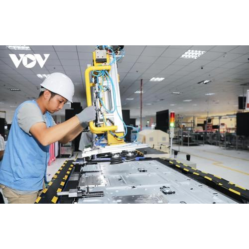 Hồ Cá Út Khuê có nhiều loại cá khác nhau